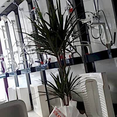 50048243_2027521947344384_7129189714682183680_n